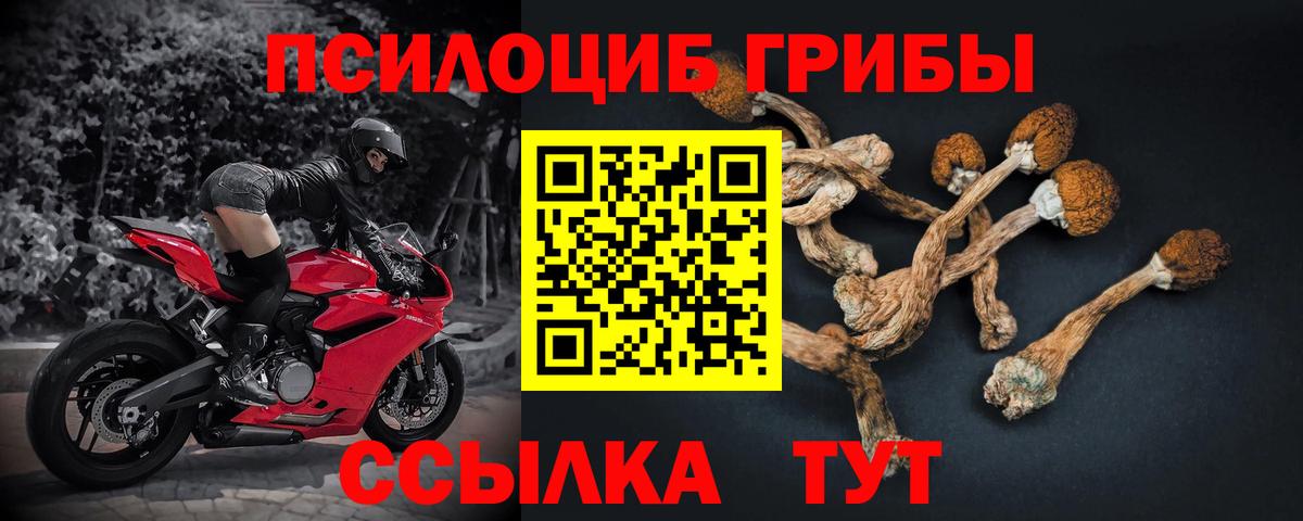Избербаш  Галлюциногенные грибы прущие грибы  Вход с VPN 
