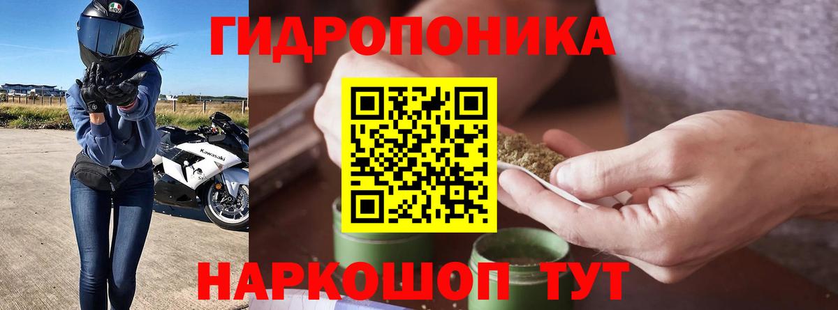 Конопля сатива Избербаш